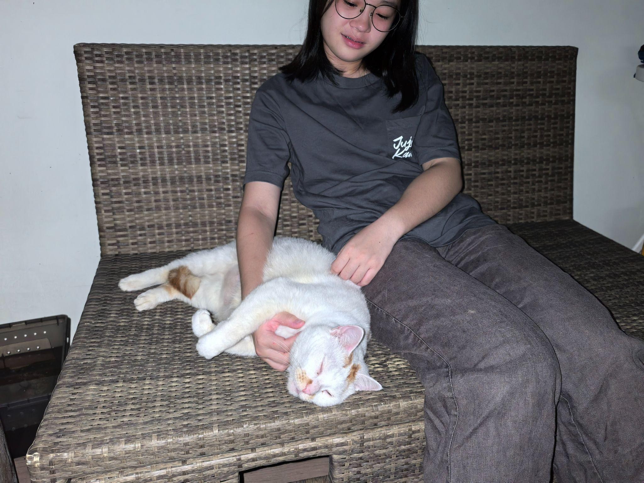 Joey sitting with a pet